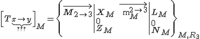 \Big[T_{\underbrace{x\to y}_{???}}\Big]_M=\left\{\begin{array}{l|l}\vec{M_{2\to3}}&X_M\\{}&0\\{}&Z_M\end{array}\quad\begin{array}{l|l}\vec{\text{m}_M^{2\to3}}&L_M\\{}&0\\{}&N_M\end{array}\right\}_{M,R_3}